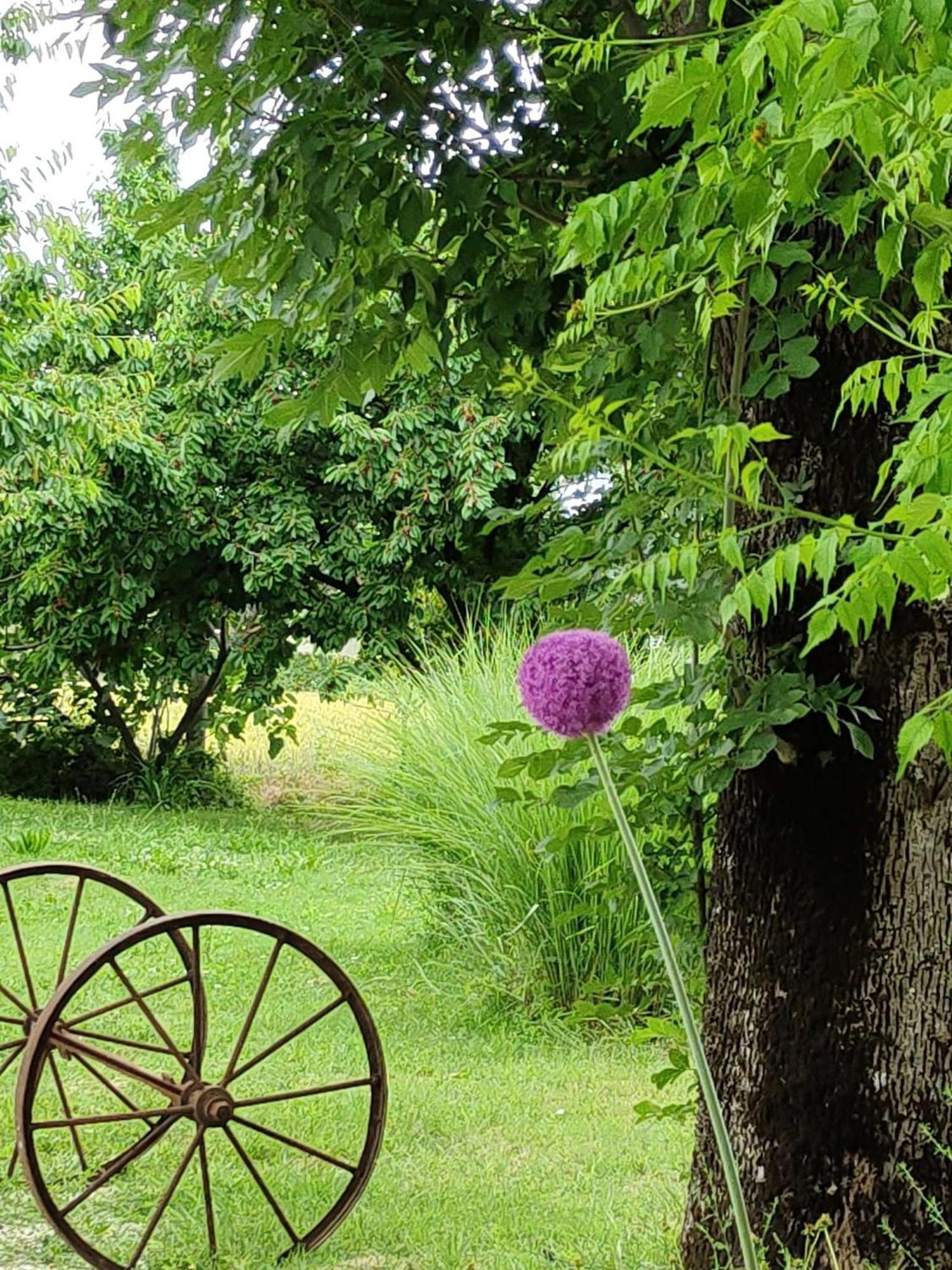Ca Veja B&B ฟอร์ลี ภายนอก รูปภาพ